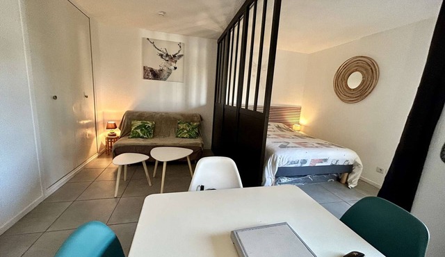 Comfy studio 4 pers steps from port with terrace in Saint-Cyprien