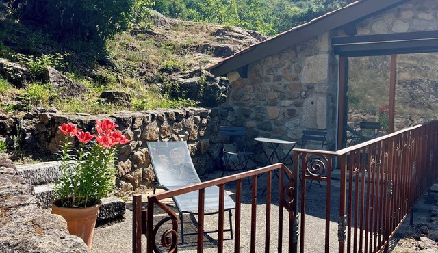 Detached studio surrounded by nature, 1 bedroom, 1 living room, 1 bathroom