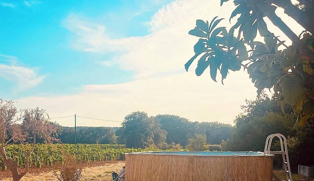 Entre Deux Vignes - An idyllic setting for families and groups