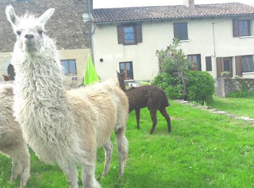 Fermer Non Reservable