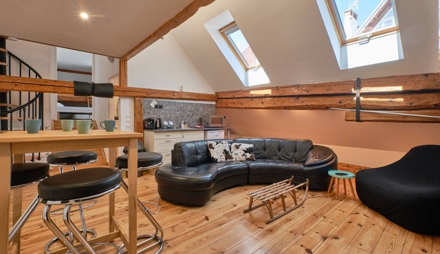 'Grande Maison De Ville Renove' Apartment with Mountain Views and Wi-Fi