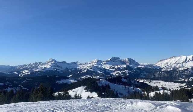 high-end chalet of 320 m2 sleeps 18 with spa