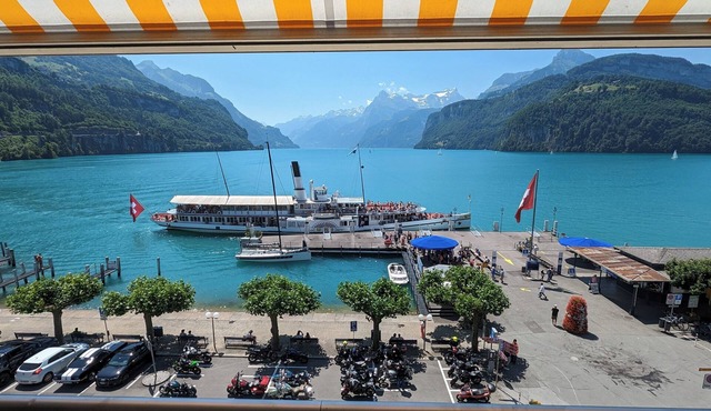 Lake Lucerne apt: spectacular lakeside view, central, family friendly in Ingenbohl