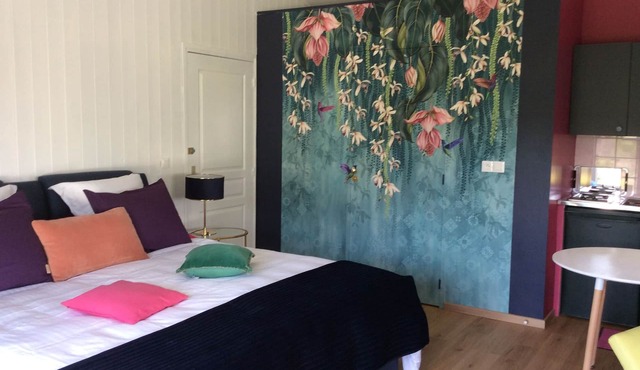 Large, comfortable studio