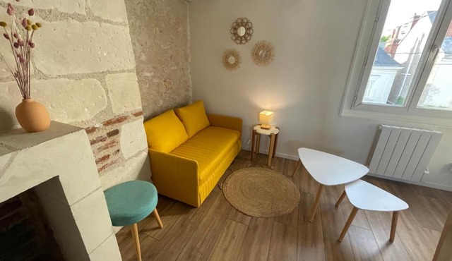 Le Cocon du Rempart Studio de charme avec mezzanine TOURS centre