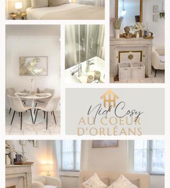 Le Nid Cosy -Au Cœur d'Orléans