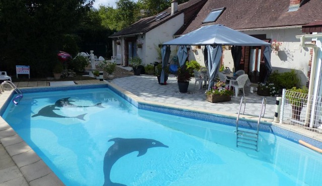Les dauphins de Mareuil