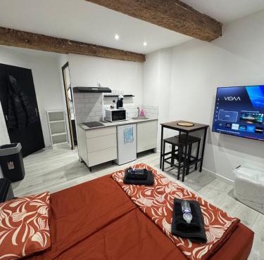 Les Perles de Limoux -Studio Centre Wifi Parking Gratuit in Limoux