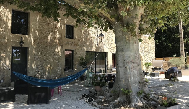 Mas provençal and its gîte for 20-22 people