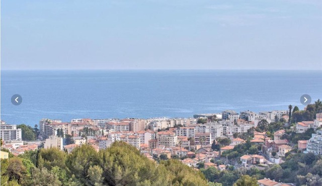 Nice garden in Nice