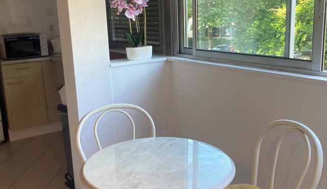Quiet downtown apartment with elevator