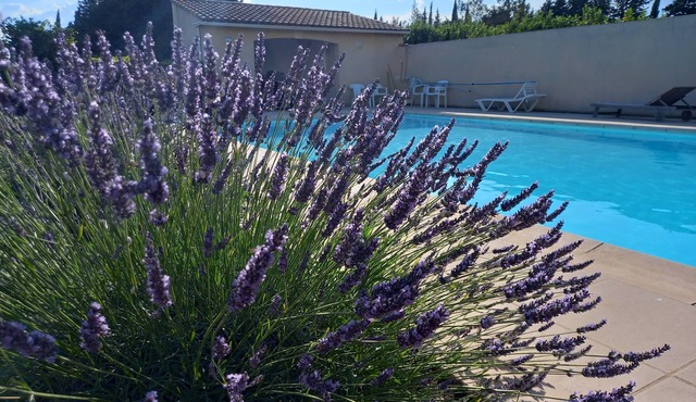 Rental for 2p in quiet wooded park with swimming pool, possibility for 4p