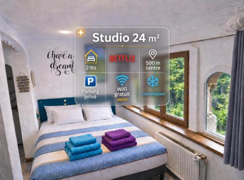 Studio PREMIUM cosy classé 24m2, 2 lits, proche centre, Netflix, Climatisation, Parking privé