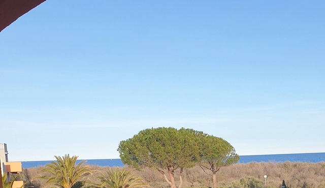 T2 Cabine de 37m² vue mer à 150m de la Plage