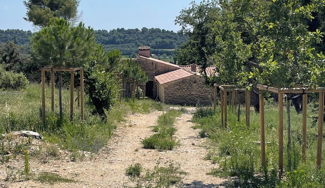 Typical Provencal farmhouse