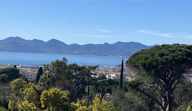 Villa Avec Piscine et Superbe Vue, un Coin de Paradis Cannes