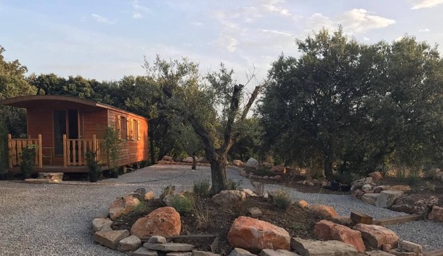Vrbo Property