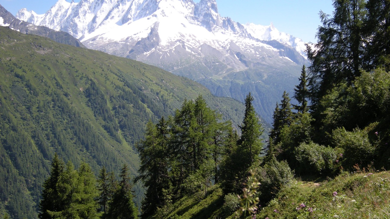 Photo of Others in Argentiere