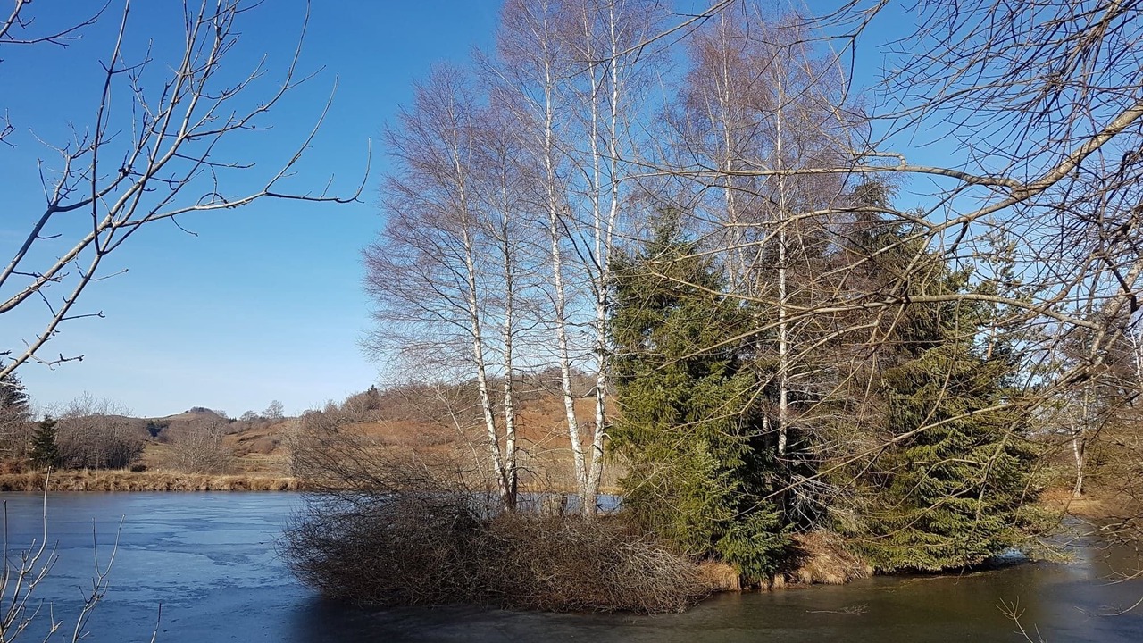 Photo of Outdoor in Saint-Donat