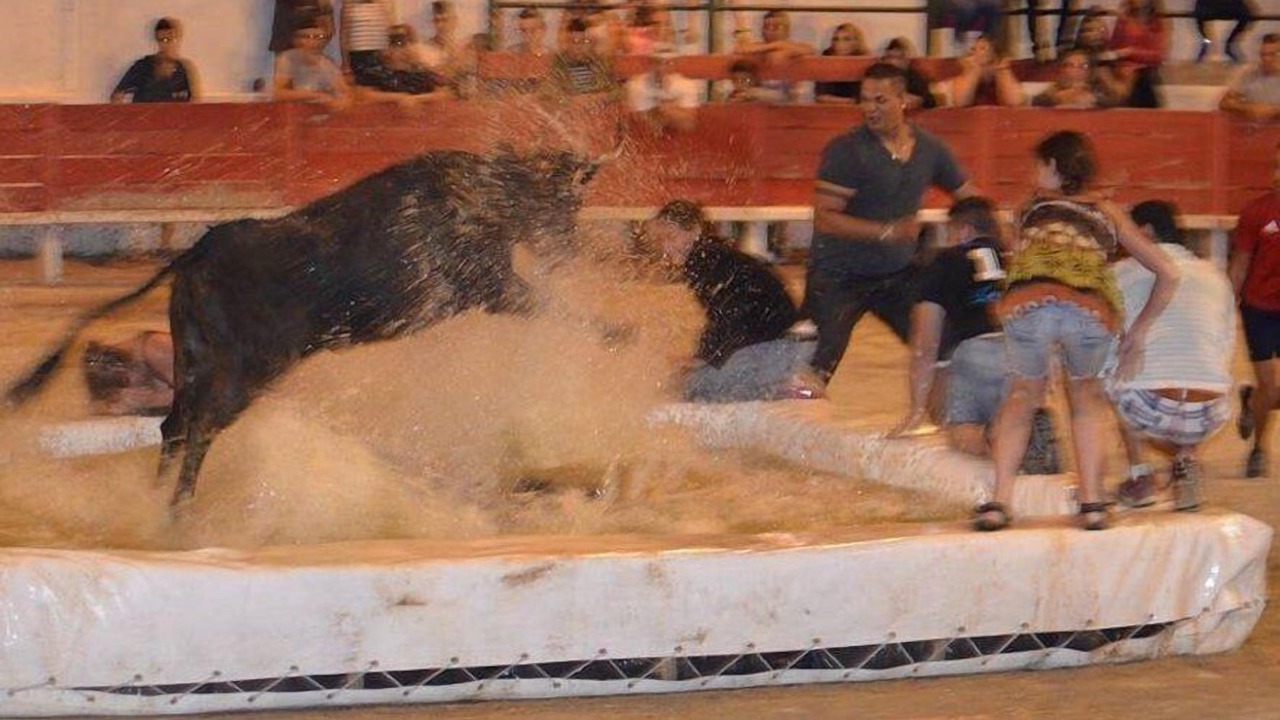 Photo of Others in Frontignan