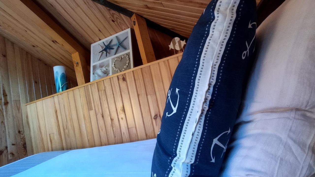 Photo of Bedroom in Marthod