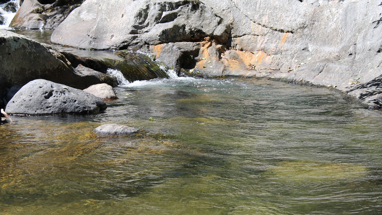 Photo of Others in Asperjoc