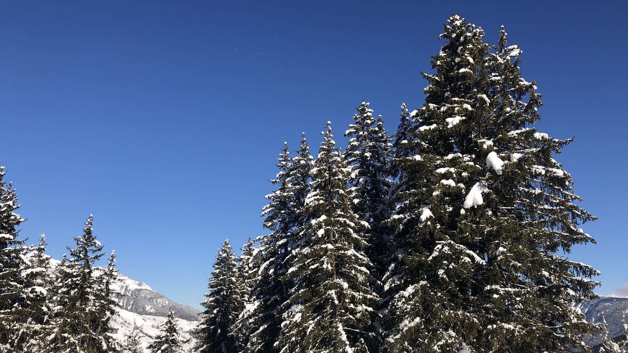 Photo of Others in Valmorel