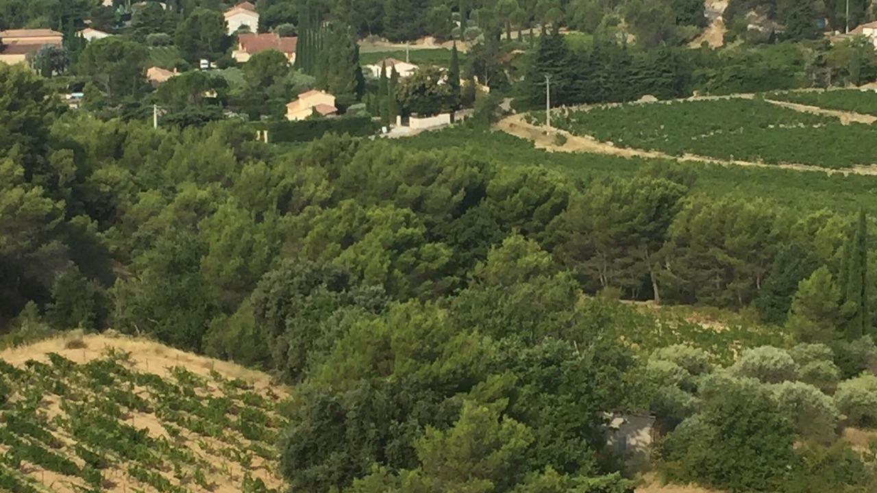 Photo of Outdoor in Aubignan