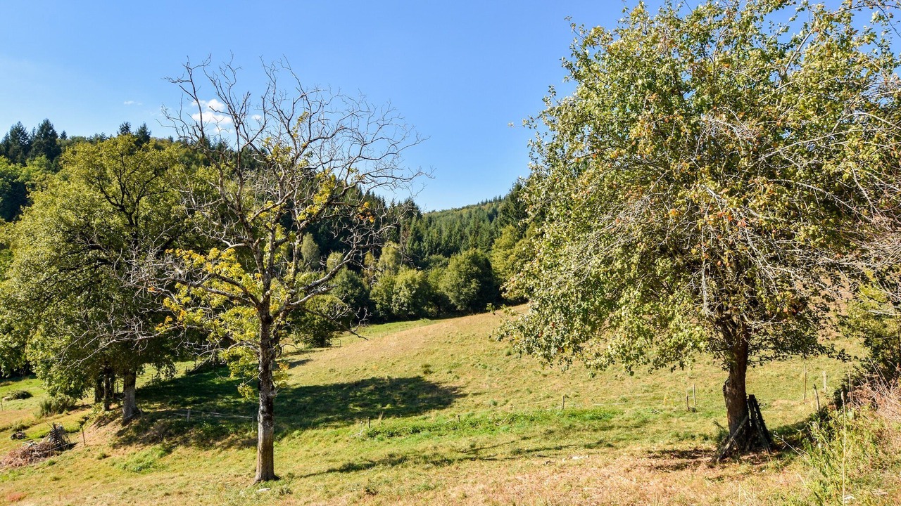 Photo of Others in Calvinet