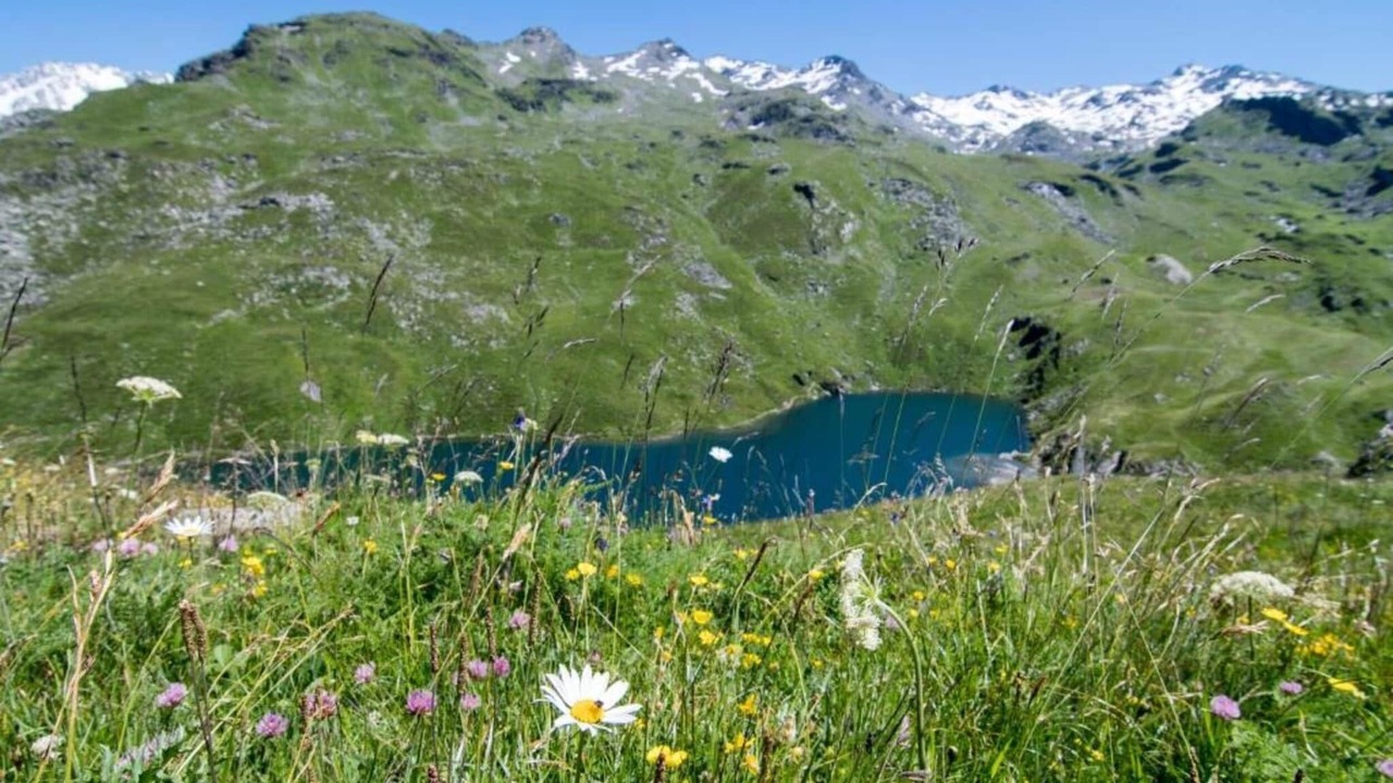 Photo of Others in Albiez-Montrond