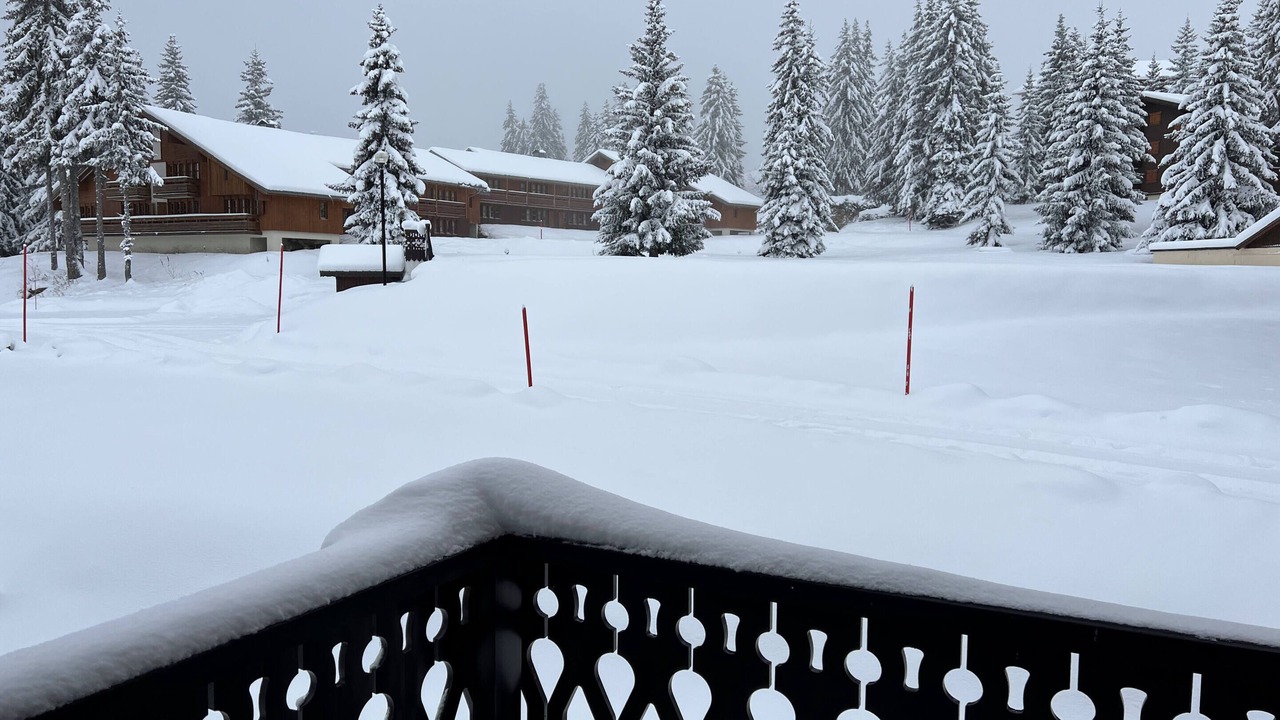 Photo of Outdoor in Bisanne 1500