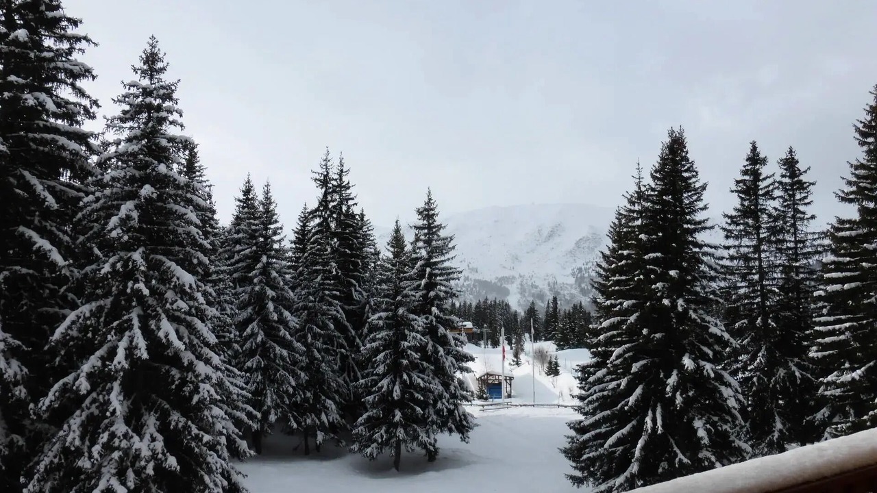 Photo of Outdoor in Meribel