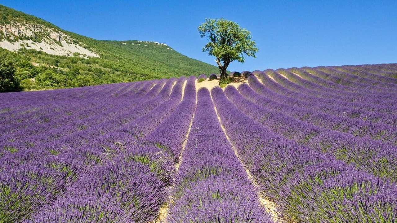 Photo of Outdoor in Clansayes