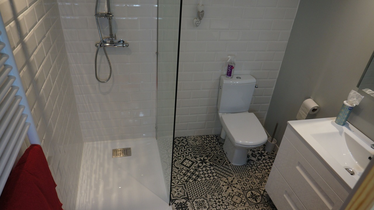 Photo of Bathroom in Lourdes