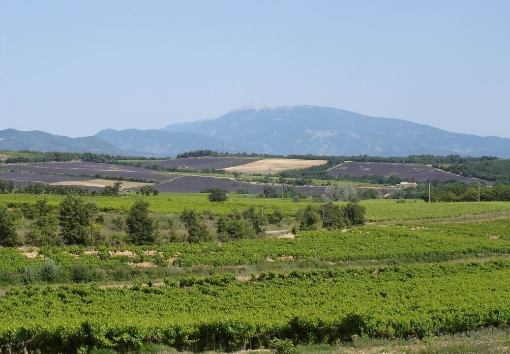 Photo of Outdoor in Vinsobres