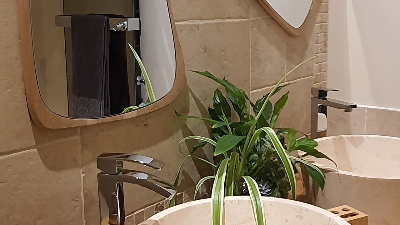 Photo of Bathroom in Valreas