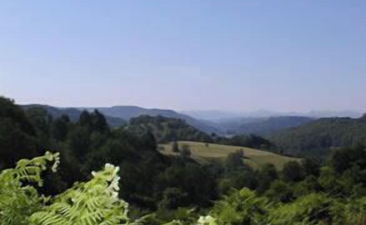 Photo of Others in Egliseneuve-d'Entraigues