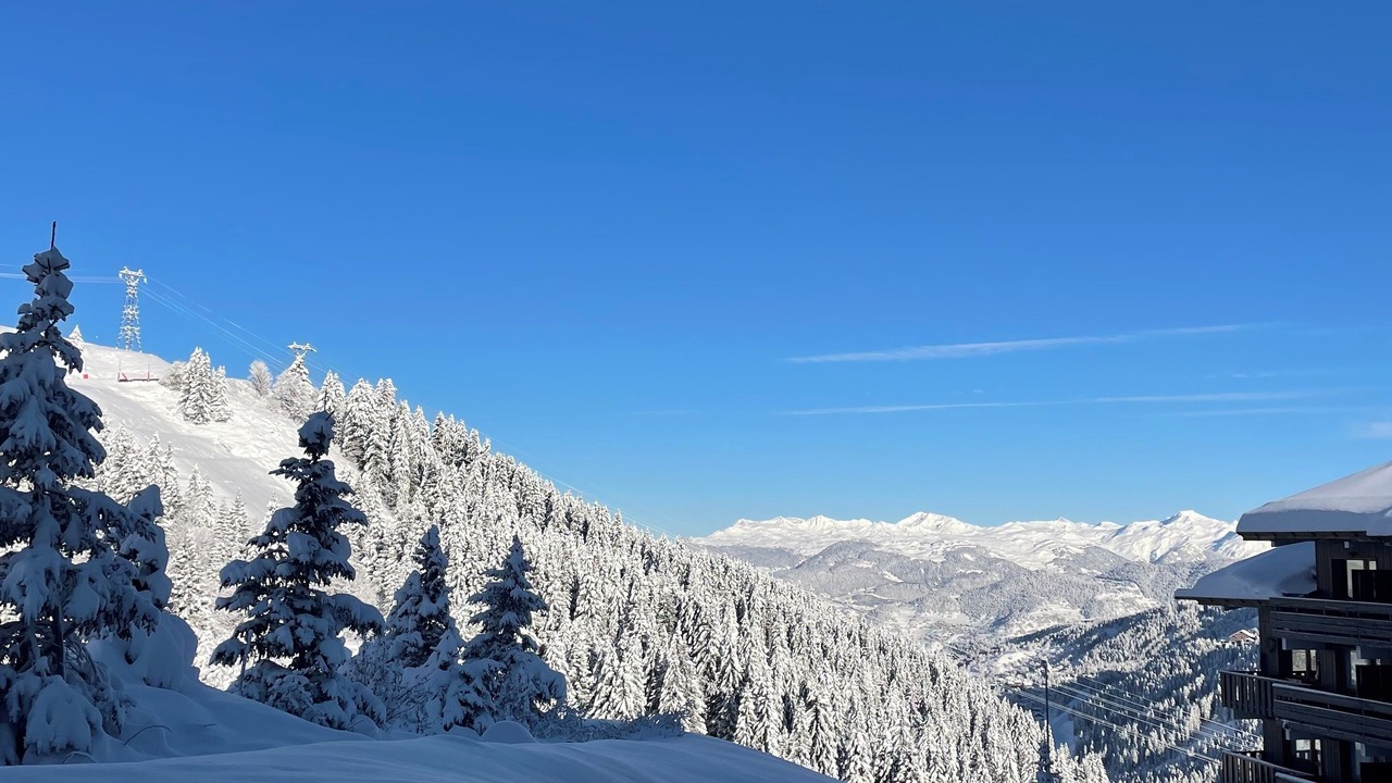Photo of Others in Meribel-Mottaret