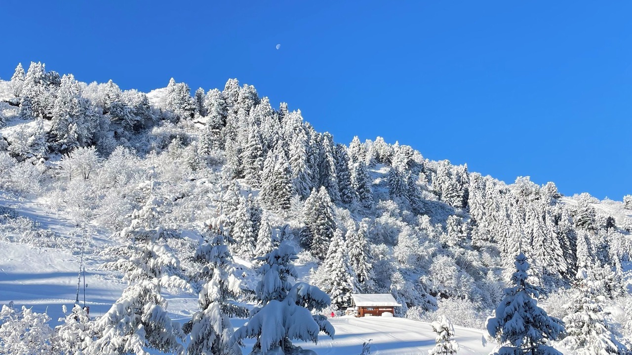 Photo of Others in Meribel-Mottaret