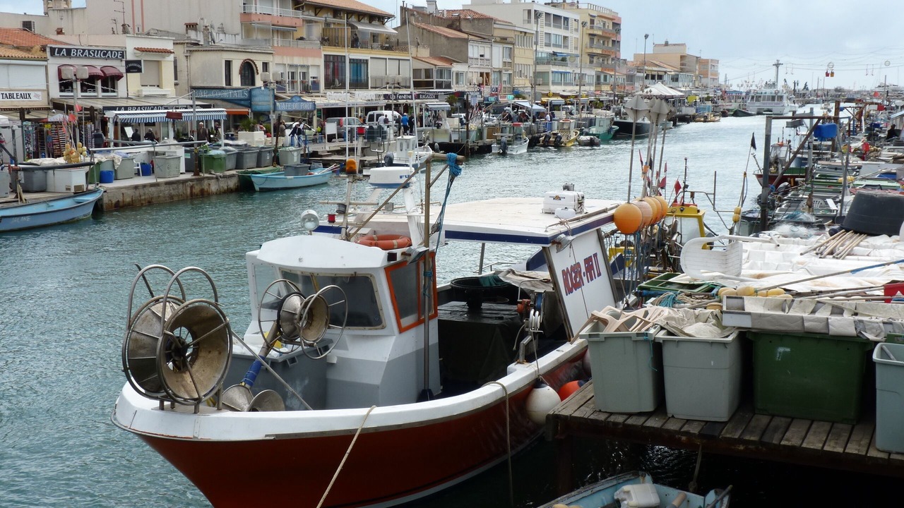 Photo of Others in Palavas-les-Flots