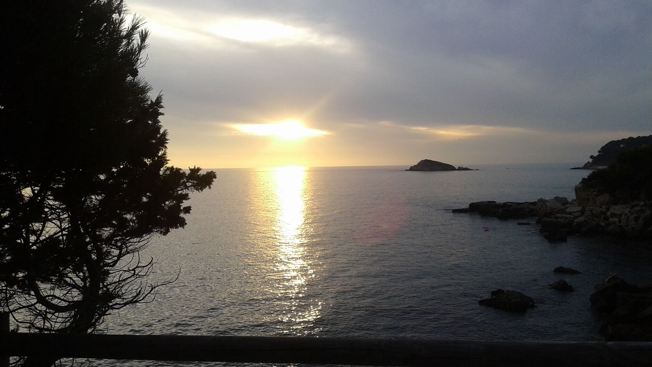Photo of Others in Bandol