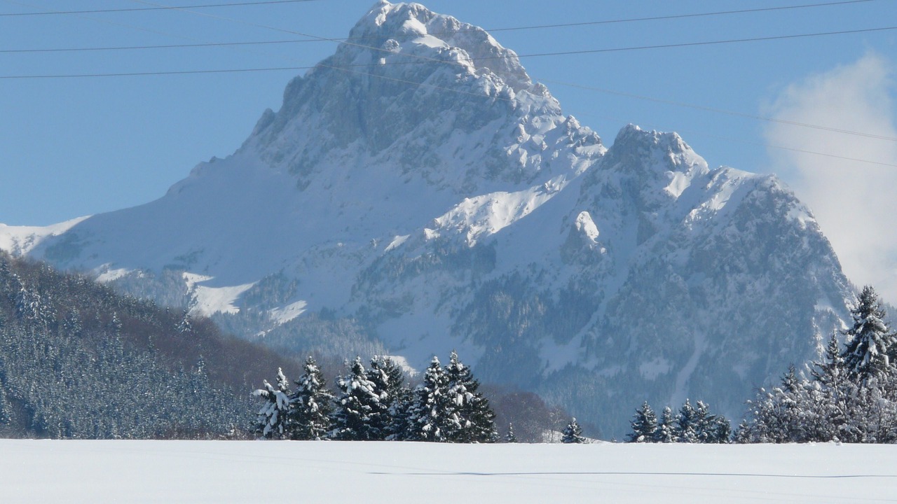 Photo of Others in Saint-Paul-en-Chablais