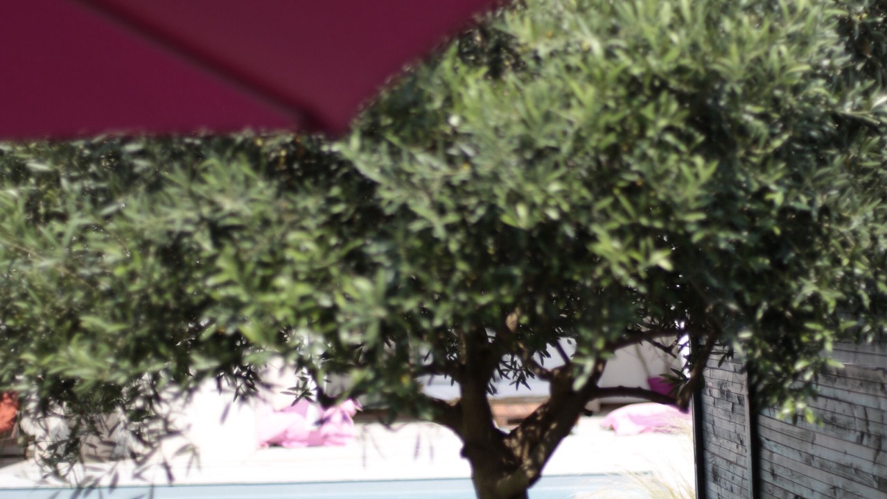 Photo of Outdoor in Baillargues