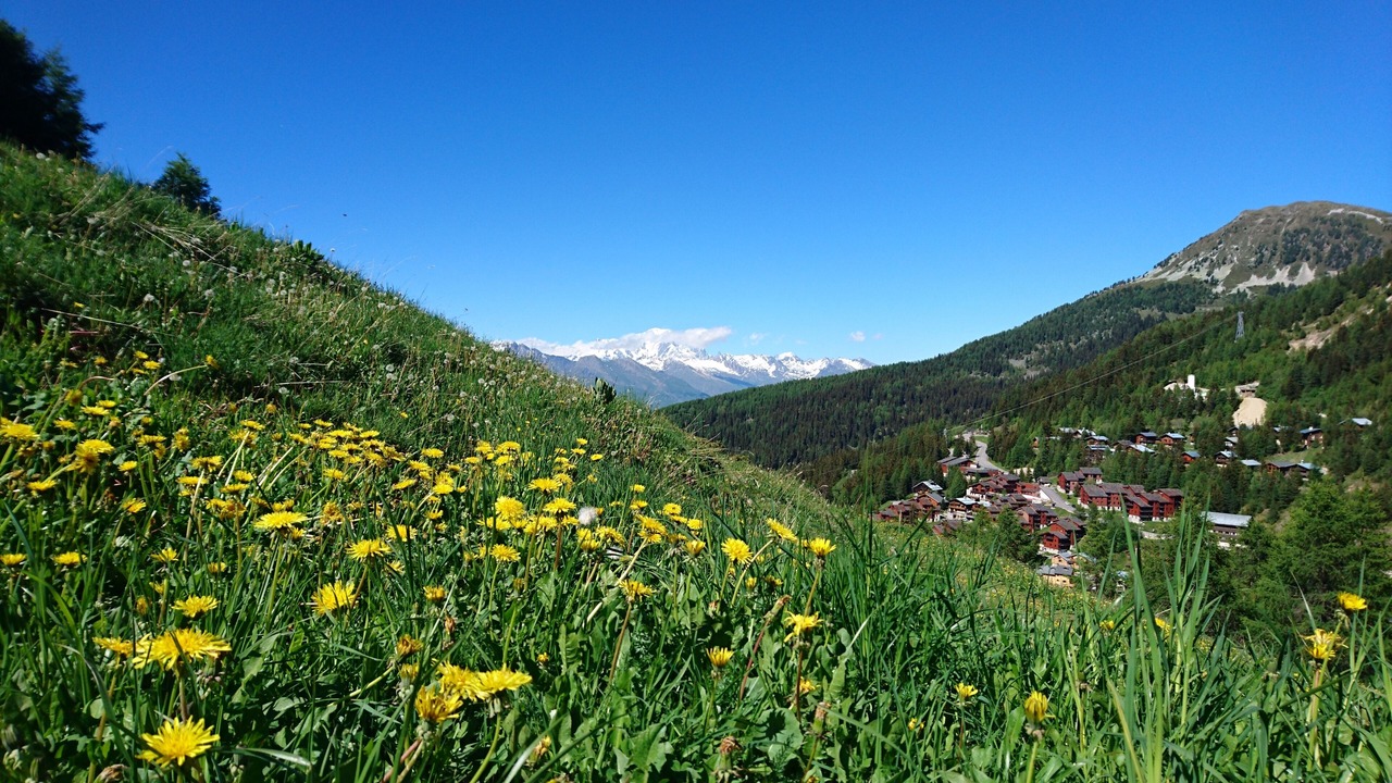Photo of Outdoor in La Roche
