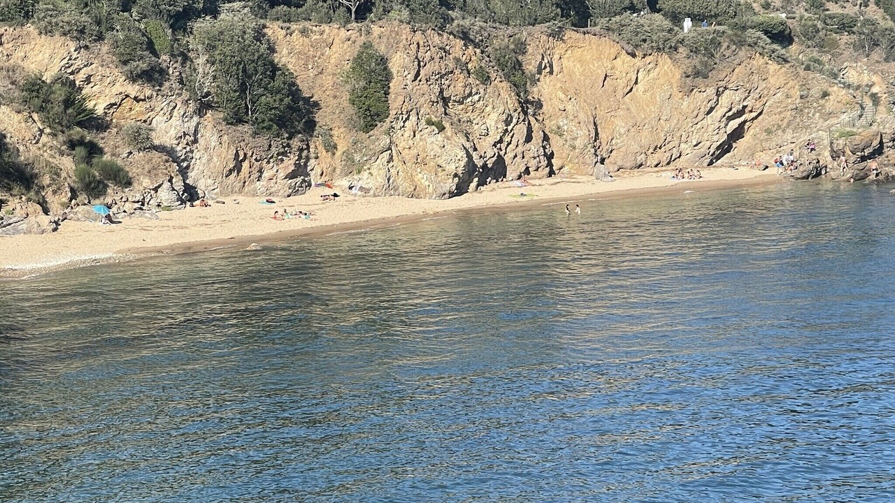 Photo of Others in Saint-Brevin-l'Ocean
