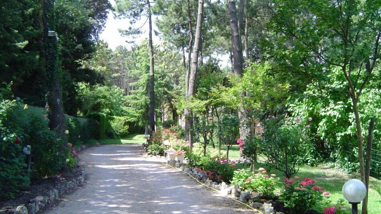 Photo of Outdoor in Saint-Paul-Trois-Chateaux