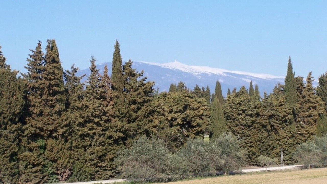 Photo of Others in Mazan
