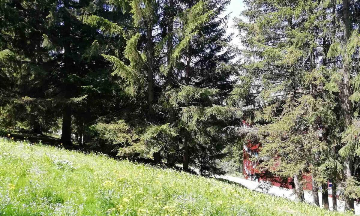 Photo of Outdoor in Arc-1800