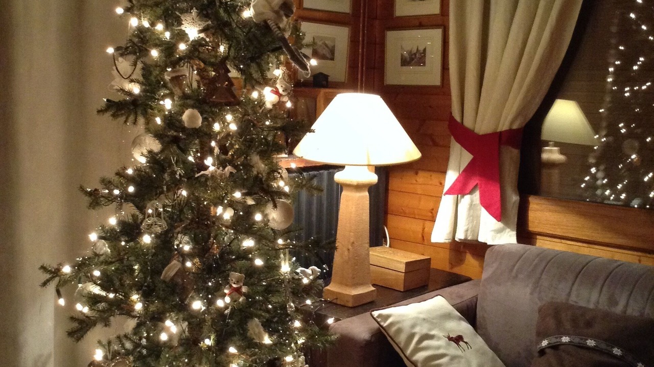 Photo of Livingroom in Les Houches