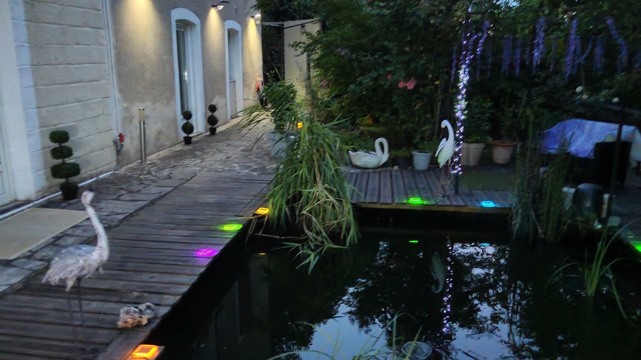 Photo of Outdoor in Cahors